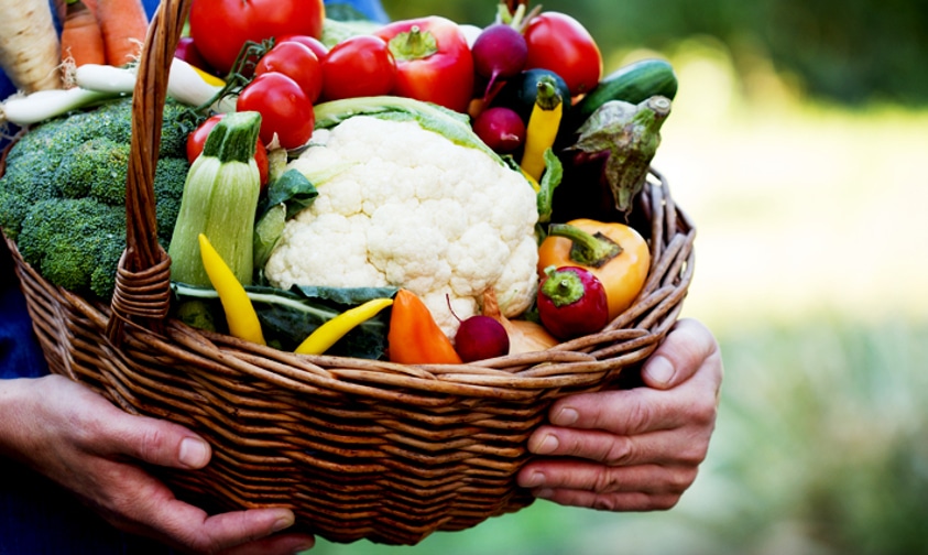 Agroecologia, produtos orgânicos e agricultura familiar