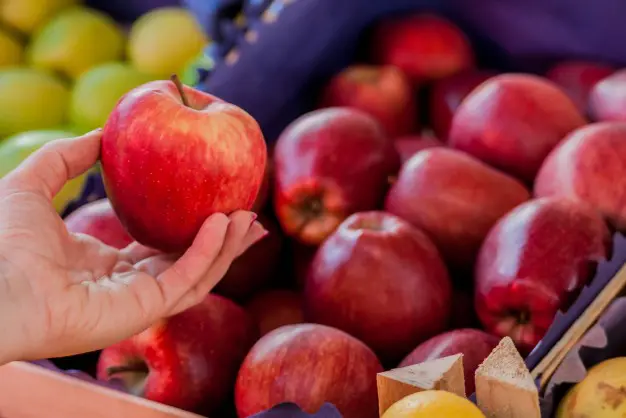 Feira Orgânica em SP