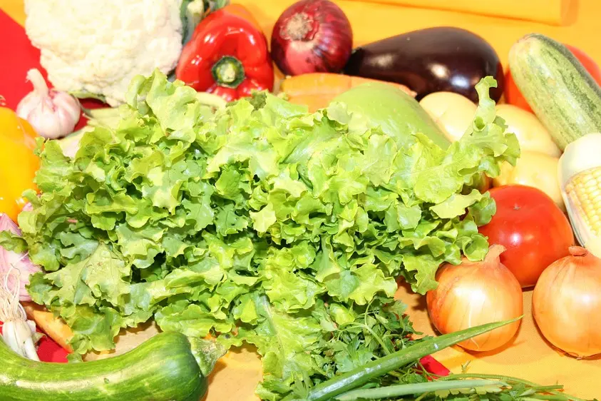 Legumes e verduras saudaveis e organicos por epoca do ano