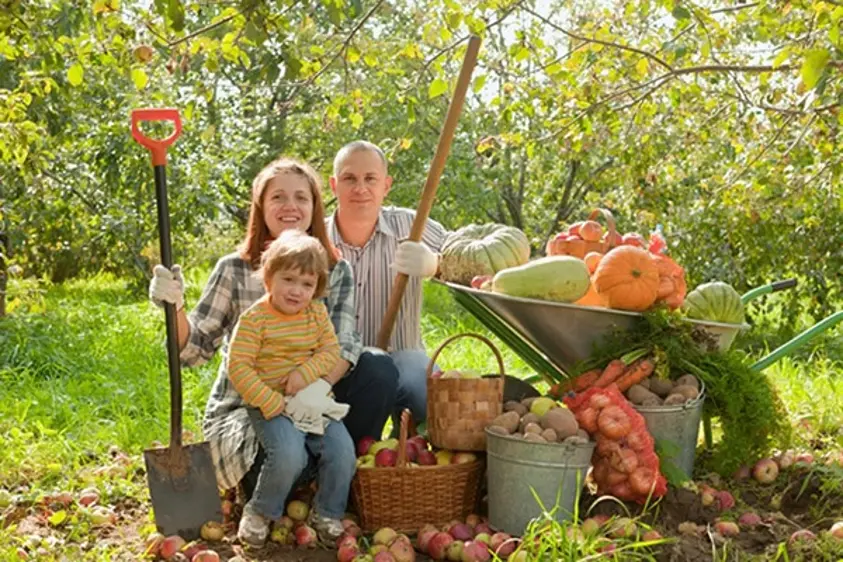 Empreendedorismo Rural e Sistemas Agroflorestais