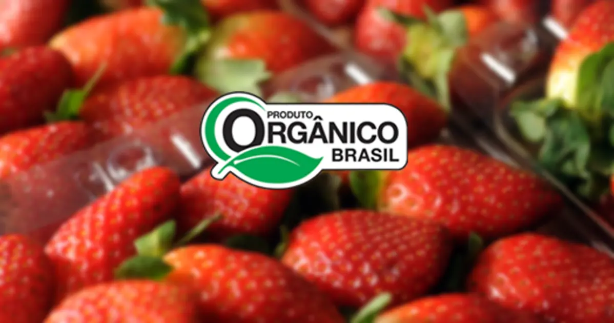 Certificação Orgânica Selo produtor organico