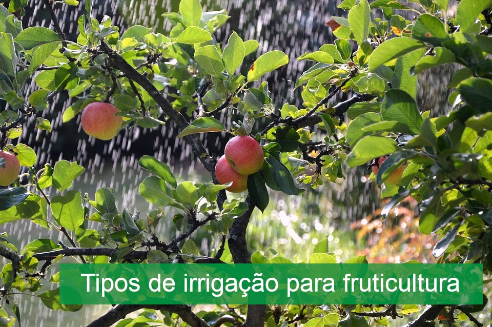 Tipos de irrigação para fruticultura