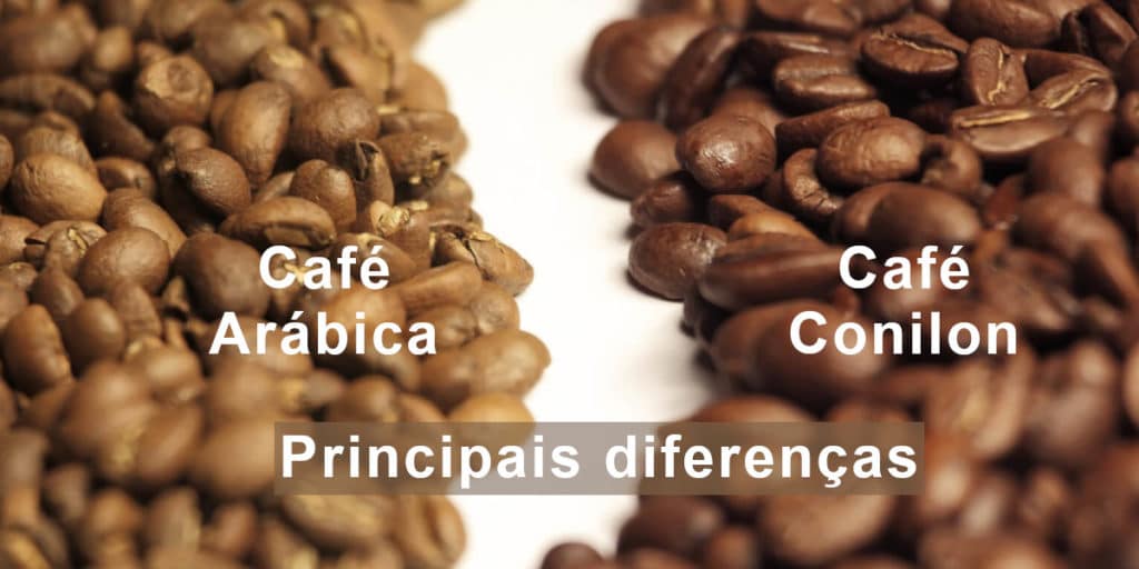 Café arábica e Café Conilon suas principais diferenças