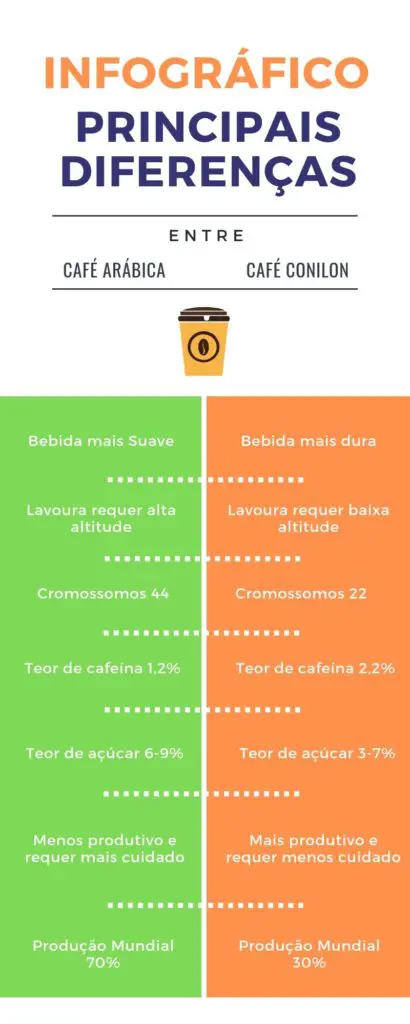 Café arábica e café conilon, qual a principal diferença