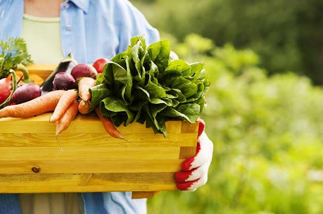 Porque as pessoas deveriam preferir frutas e verduras orgânicas