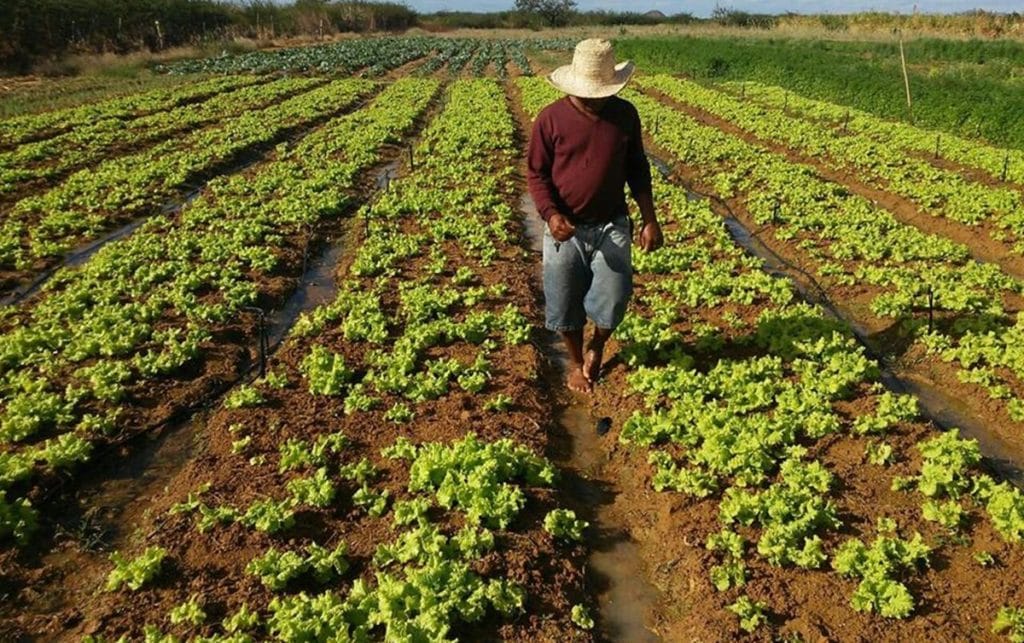 Agricultura tipos utilizadas no Brasil
