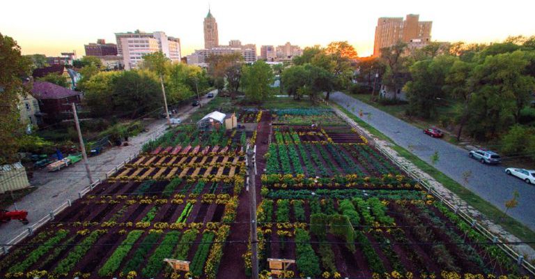 Agricultura Urbana: o que é e como funciona?