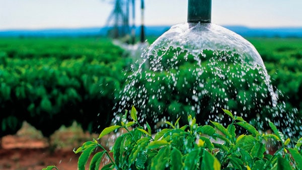 Água: importante recurso para agricultura