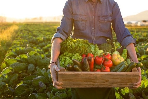 Agroindústria sustentável para a agricultura familiar