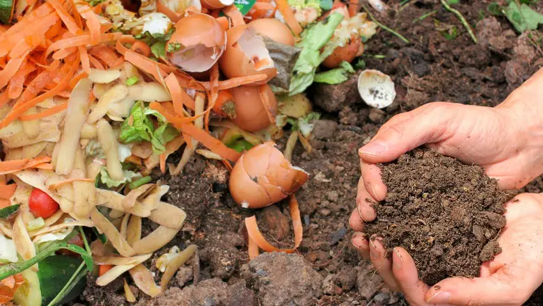 Compostagem: como fazer uma composteira doméstica