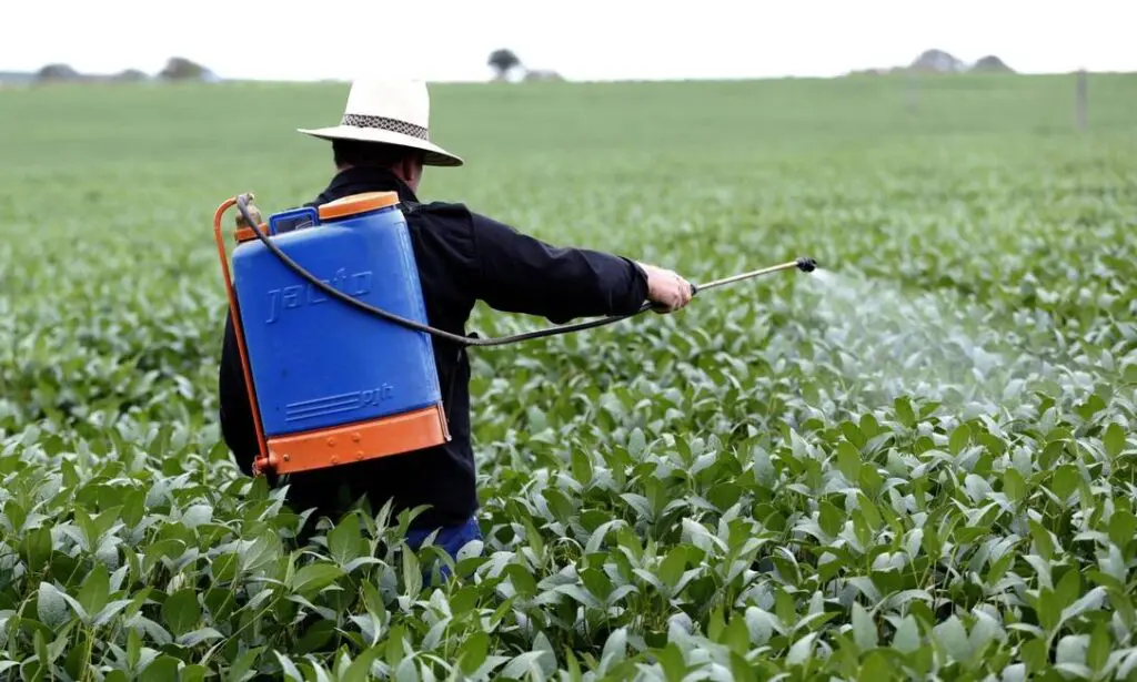 A saúde e o uso de agrotóxicos na agricultura