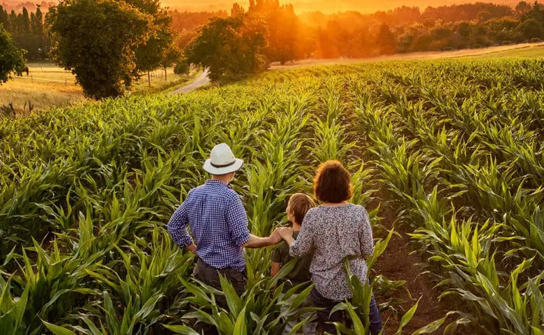 Tudo sobre Agricultura de subsistência