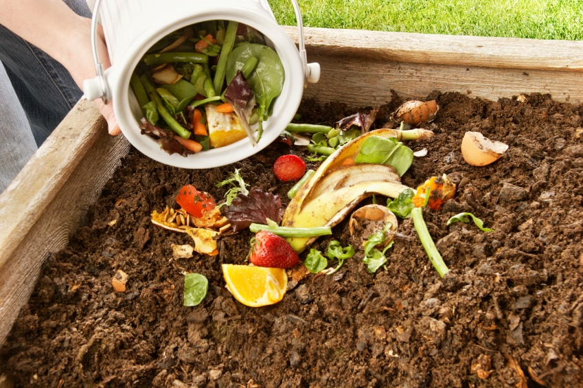 Fertilizantes orgânicos e seu uso na agricultura