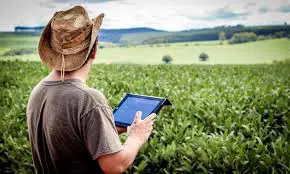Agricultura digital: entenda o que é, vantagens e como fazer