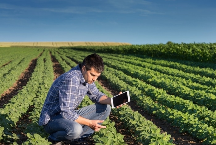 Saiba como o agrônomo contribui para o crescimento do agro