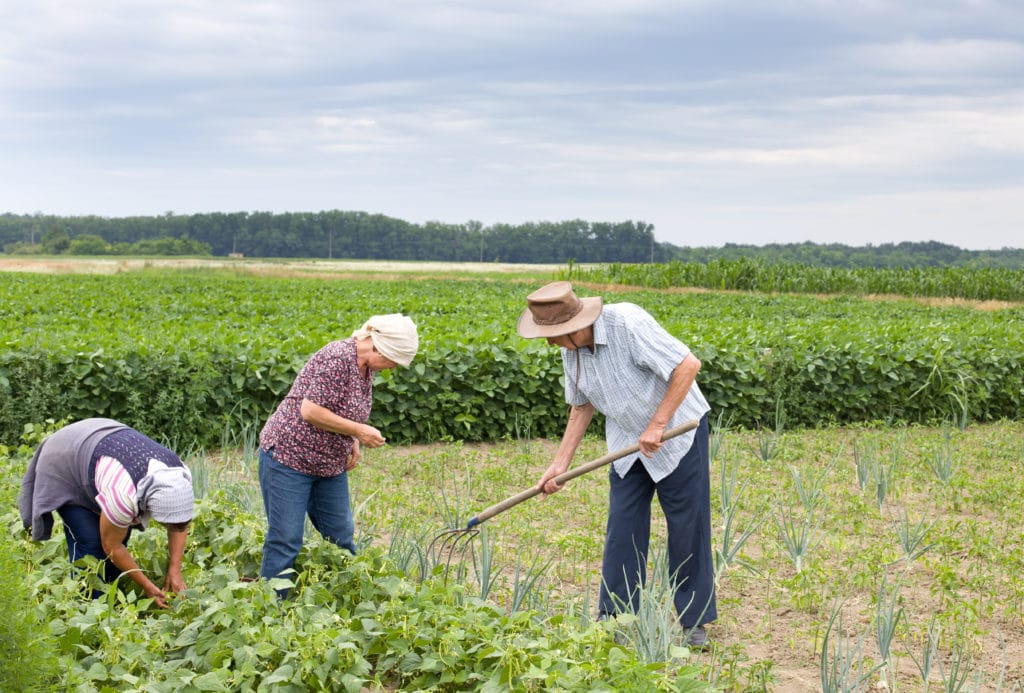 Qual a situação da agricultura familiar no Brasil?